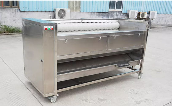 Machine de Peeler Emery Roller Peeling And Washing de manioc pour la machine de nettoyage de rouleau végétal de brosse