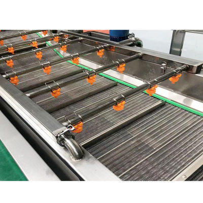 Machine à laver 500kg/H de légumes de carottes d'huîtres de crevette de poissons