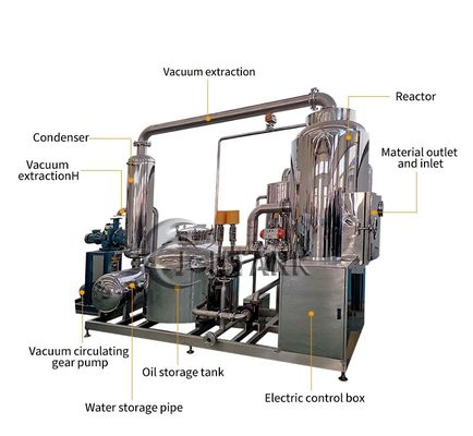 Vide Fried Chips Machine 500kg/h de basse température