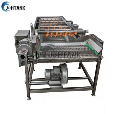 Machine de nettoyage automatique industrielle de lavage de légume et de fruit pour la salade de tomate
