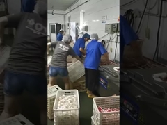 Vacuum paking machine