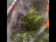 Fruit And Vegetable Processing Line